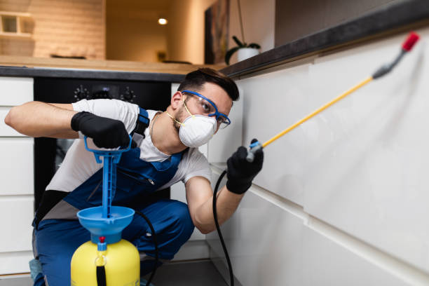 Best Local Pest Control Services  in Biltmore, TN
