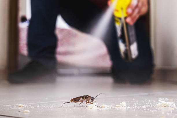 Best Pest Prevention Services  in Biltmore, TN