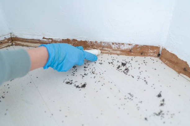 Biltmore, TN Pest Control Company